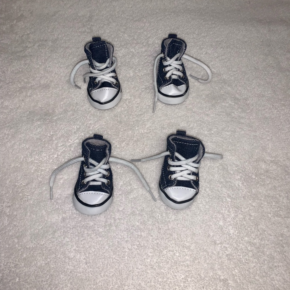 Dog Converse shoes